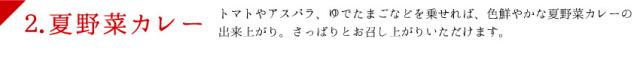 夏野菜カレー説明