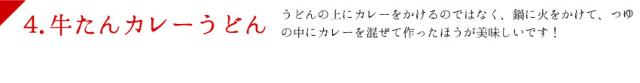 カレーうどん説明