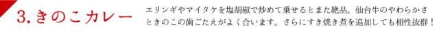 きのこカレー説明