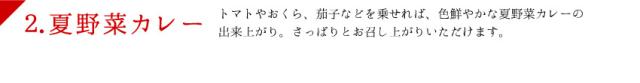 夏野菜カレー説明