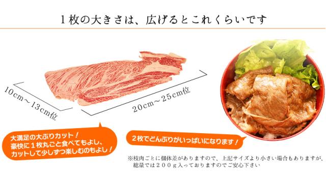 1枚の大きさは、広げるとこれくらいです