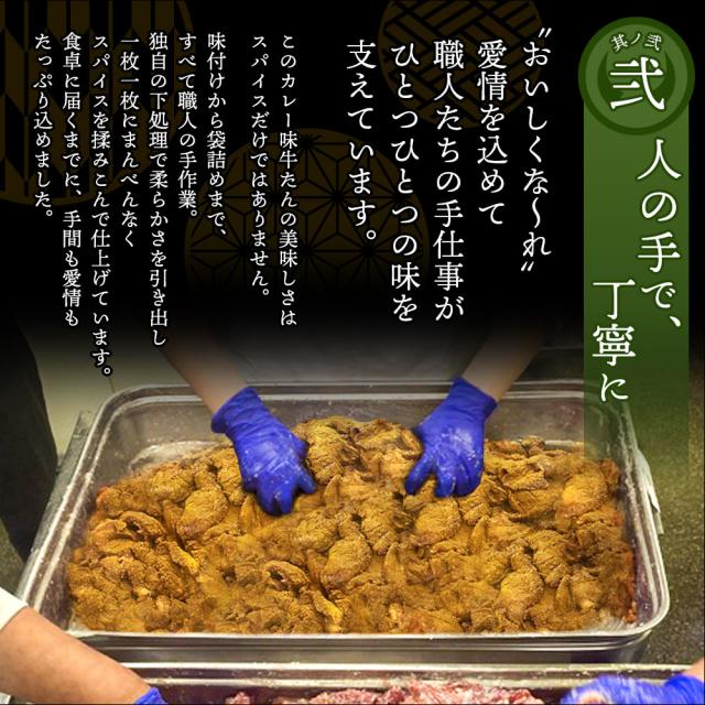 杜の都仙台 肉のいとう 肉厚牛たん カレー味