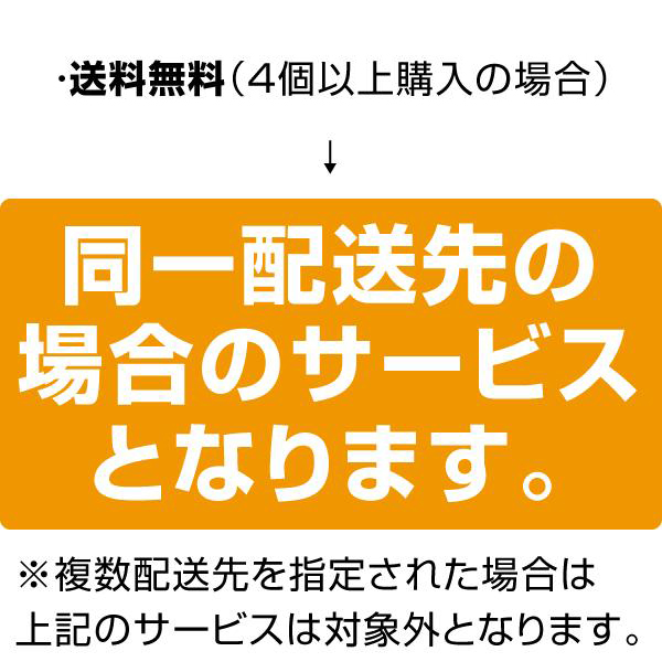 同一配送先の場合のサービスとなります