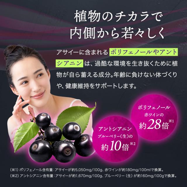 アサイーパウダー 100g