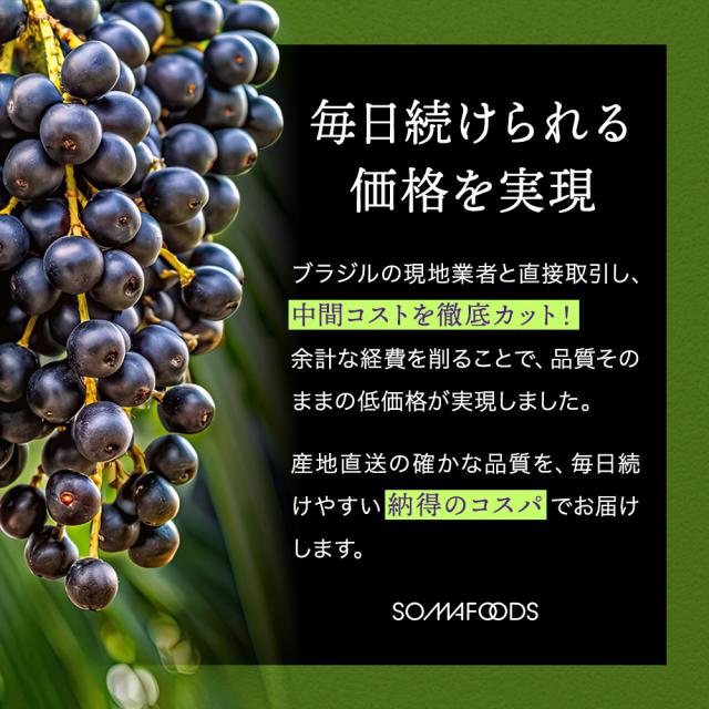 アサイーパウダー 100g