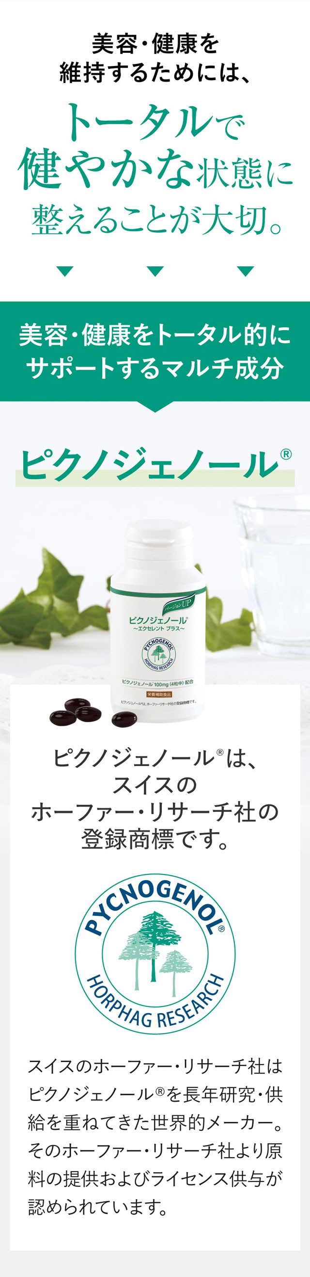 ピクノジェノール エクセレントプラス 3箱セット
