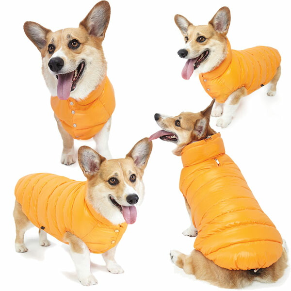 お洒落 犬用 Paラブダウンパデッドダウンベストforコーギー ダックスフント 2xl 3xl 4xlサイズ Puppyangel パピーエンジェル ダウン 犬 ペット チャンピオン Dududustore Com Br