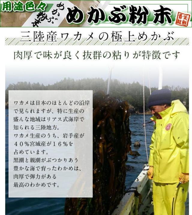 めかぶ粉末１