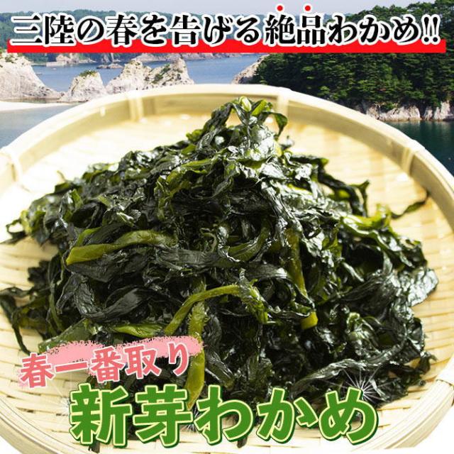 新芽わかめ-1