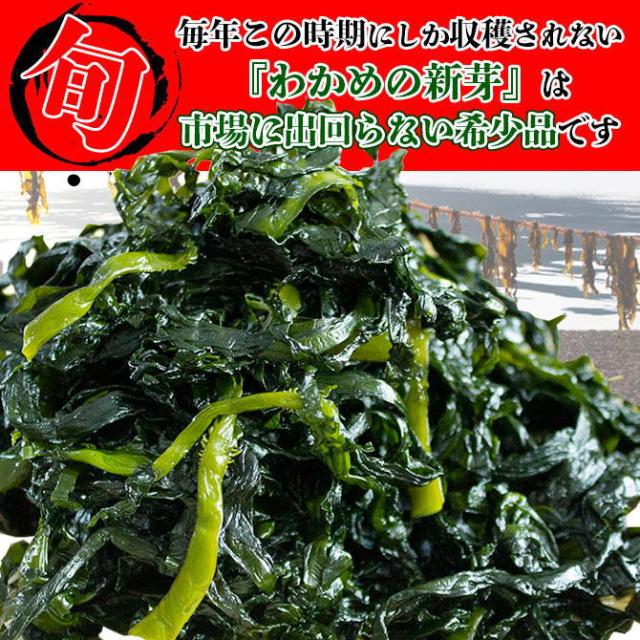 新芽わかめ-2