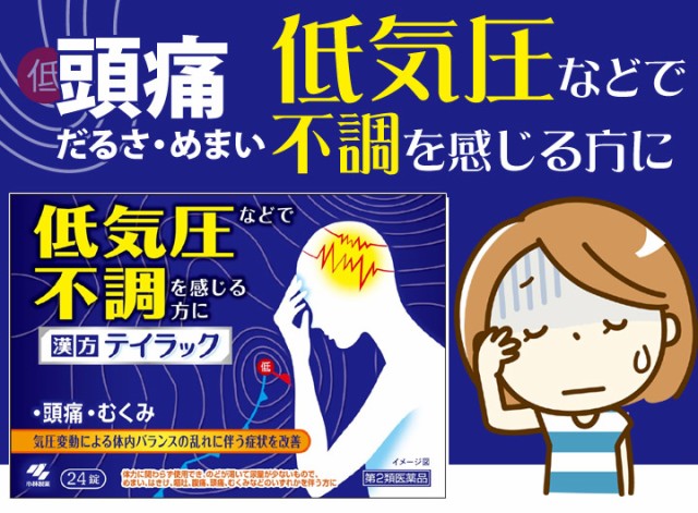 小林製薬 テイラック 48錠 2個セット 第２類医薬品