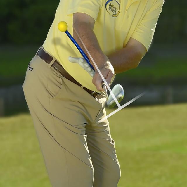 ダヴィンチスポーツ トータルゴルフトレーナー  ゴルフ 練習用品 アイテム アクセサリー ダヴィンチスポーツ トータルゴルフトレーナー ゴルフ 練習用品