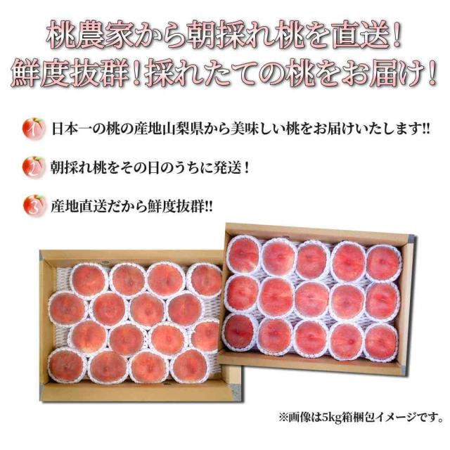 桃 訳あり 送料無料