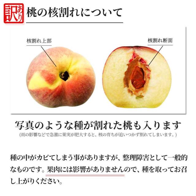 桃 訳あり 送料無料