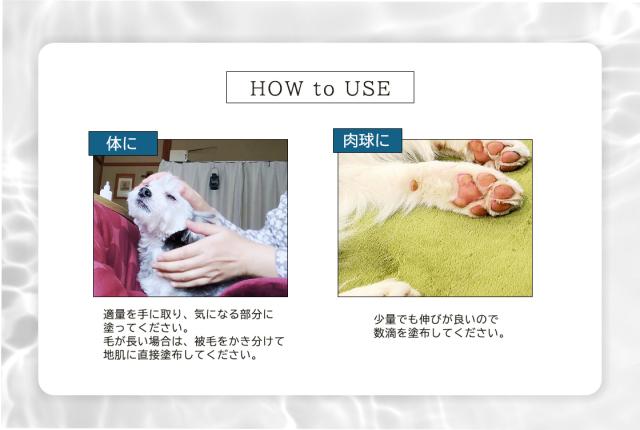 【AT・PET(アトペット)】フコロジーエッセンス30ml