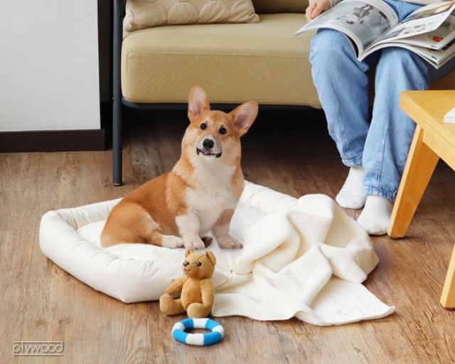 お得超激安 FAD ふわふわ クッション いぬ ねこ 猫 おしゃれ の通販はau PAY マーケット - plywood|商品ロットナンバー: オーガニック・ペットベッド Sサイズ ペット ベッド 洗える 犬 マット 日本製 綿100% 超激安得価