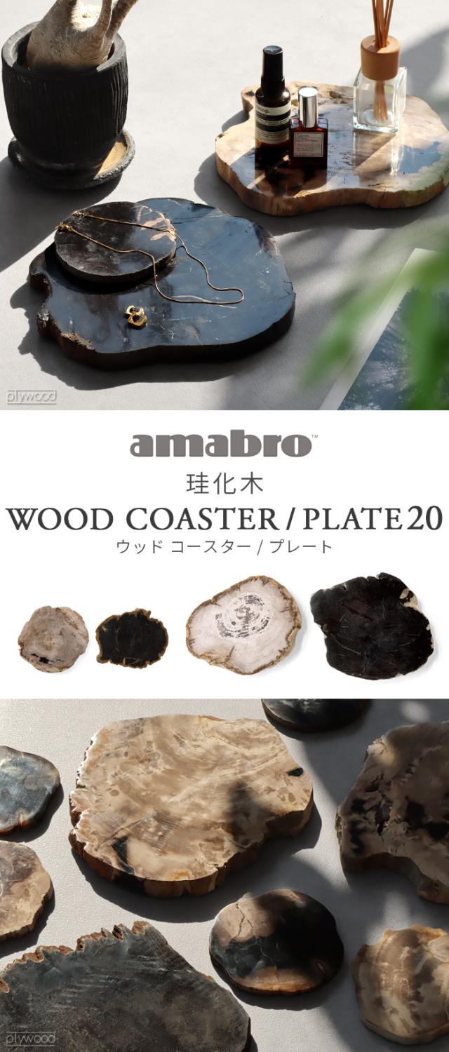 珪化木 インテリア プレート 10枚セット