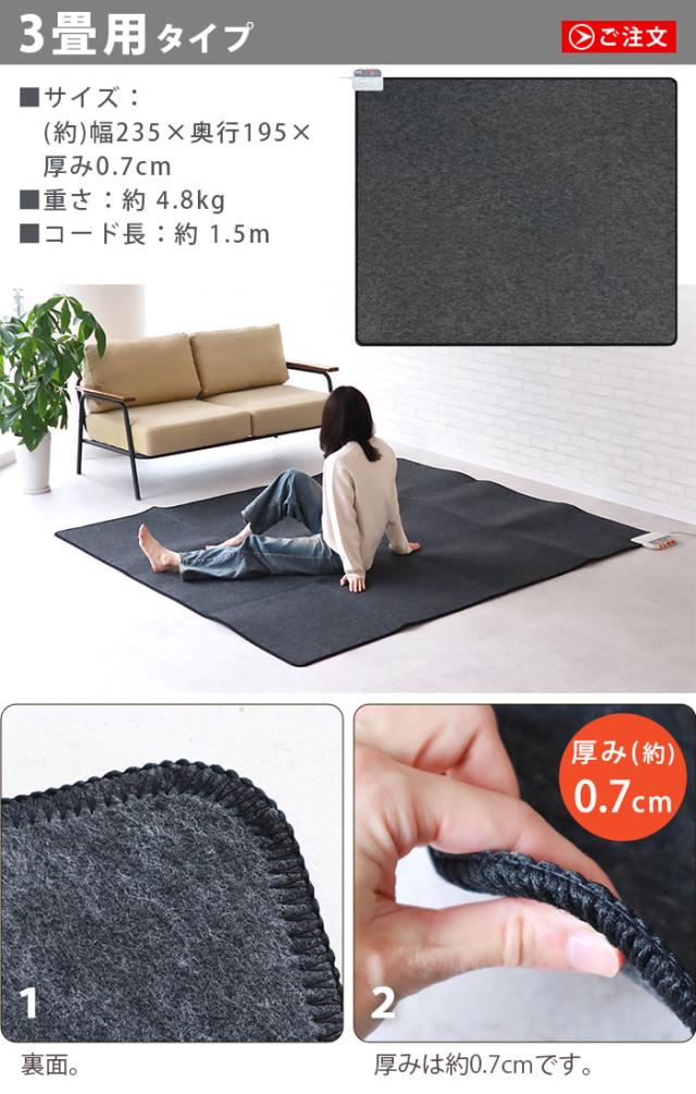 【選べる2大特典付】 ホットカーペット 2畳 電磁波カット zenken ゼンケン 電気ホットカーペット 単体 《2畳タイプ》 ZCB-20S 本体 ミニ ラグなし カバーなし マット 一人暮らし 磁界99％カット あったか 暖房器具 暖房 カーペット 送料無料 P10倍