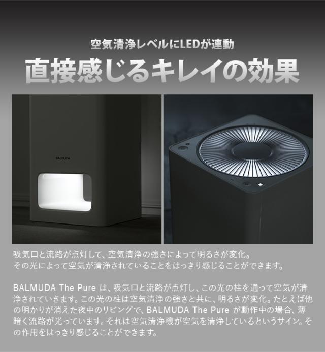 12時迄のご注文は当日発送☆送料無料☆P10倍】 バルミューダ ザ