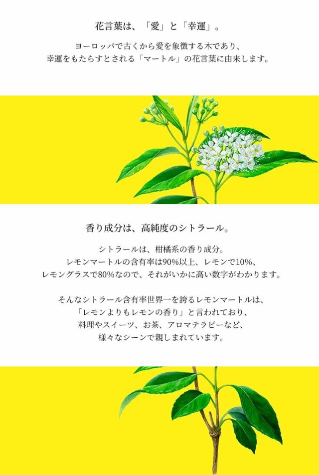 すべての美しい花の画像 新鮮なレモンマートル 花言葉