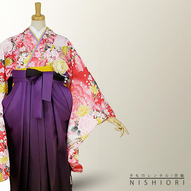 二尺袖着物 袴 レンタル 貸衣装 Lサイズ H L ブランド 袴 Lサイズ