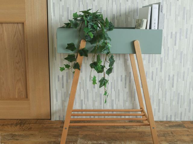 観葉植物を飾るプラントボックス