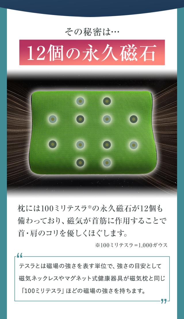 12個の永久磁石が首筋に作用