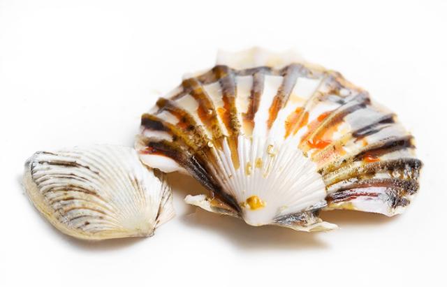 そのまんま貝柱