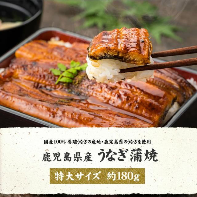 鹿児島産うなぎ