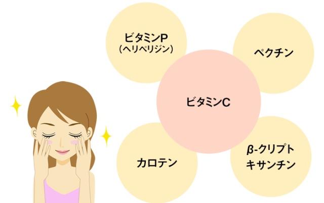 みかんの皮粉末