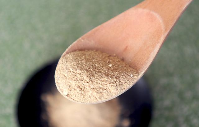 ポルチーニ粉末