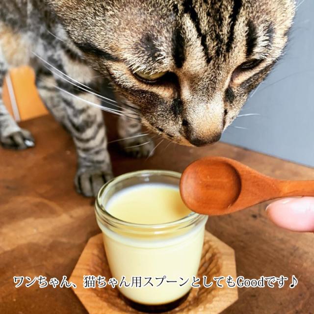 スプーンキット