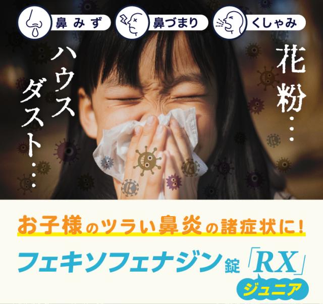 花粉症 鼻水 アレルギー性鼻炎