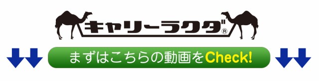 キャリーラクダ使用映像