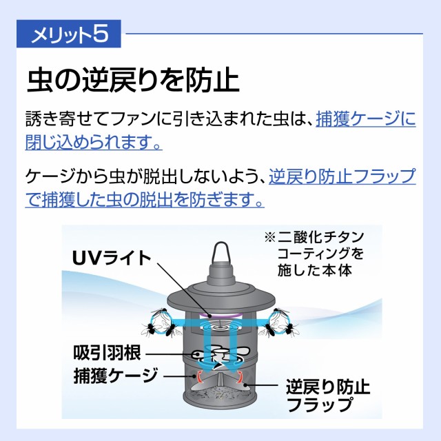 虫は逆戻りしない