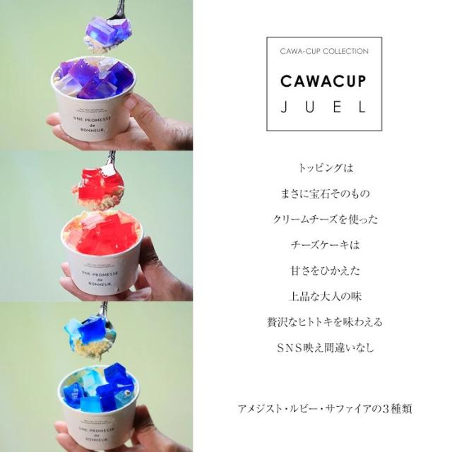 宝石チーズケーキ