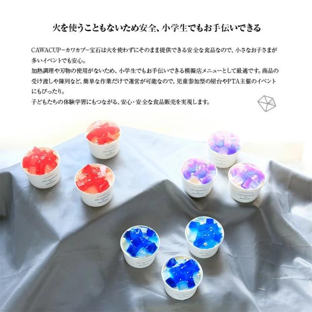 宝石チーズケーキ