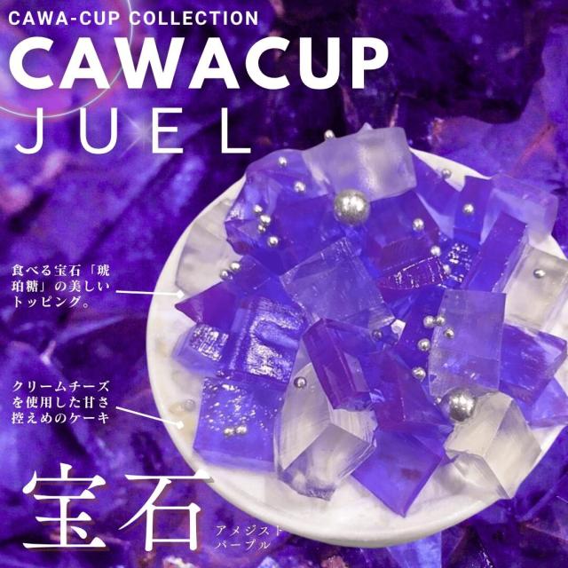 宝石チーズケーキ