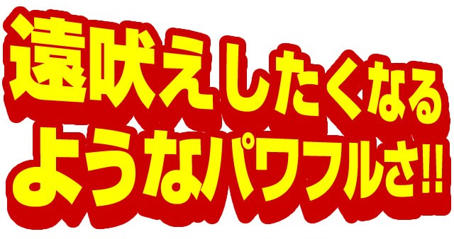 送料無料】オットセイ将軍【約6か月分】徳川将軍家伝統の元気食材