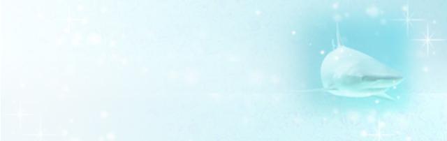 美肌効果の高い サラッとした 浸透性の高いオイル