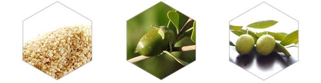 3種の美容オイル配合