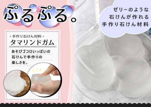 タマリンドガム