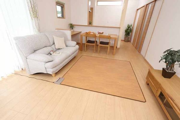 ホットカーペット電気暖房防寒フローリング調お手入れ簡単ダニ退治2畳暖面切替木目調日本製国産電気カーペット2帖木目ワタナベ工業 