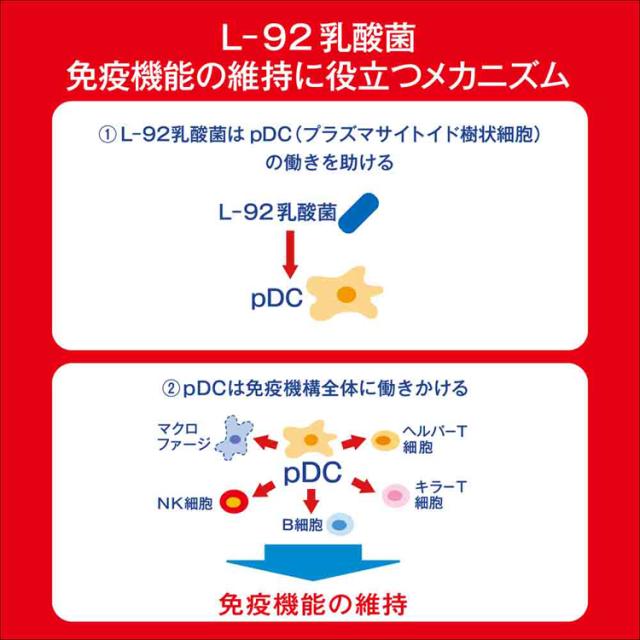 カルピス乳酸菌飲料ペットボトル乳酸菌免疫l92ボトル飲料カルピス飲料プラスカルピス【60本セット】PLUSカルピス免疫サポート100mlアサヒ飲料