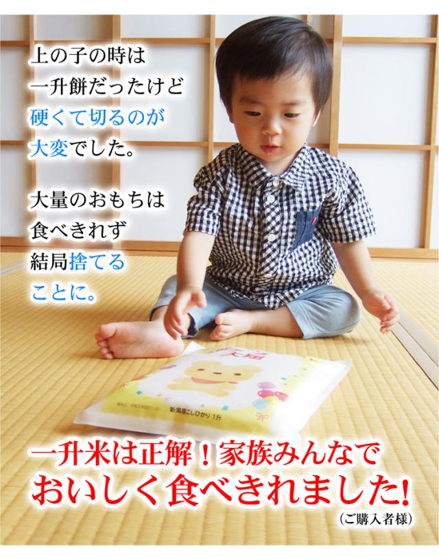 食べきれました