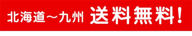 北海道-九州送料無料