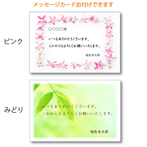 メッセージカード