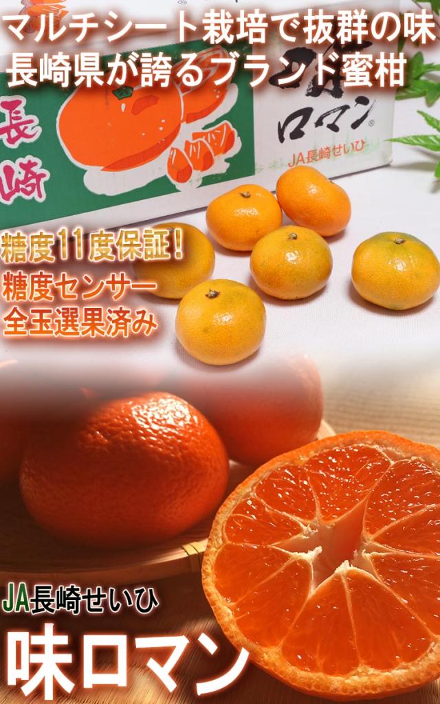 味ロマン みかん