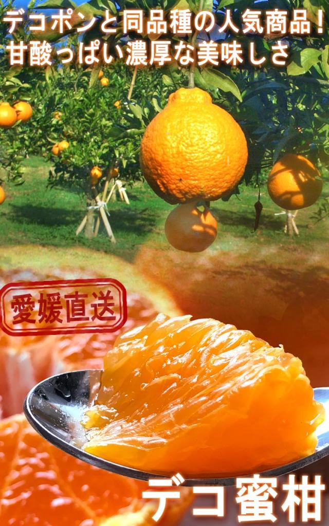 デコ蜜柑 愛媛