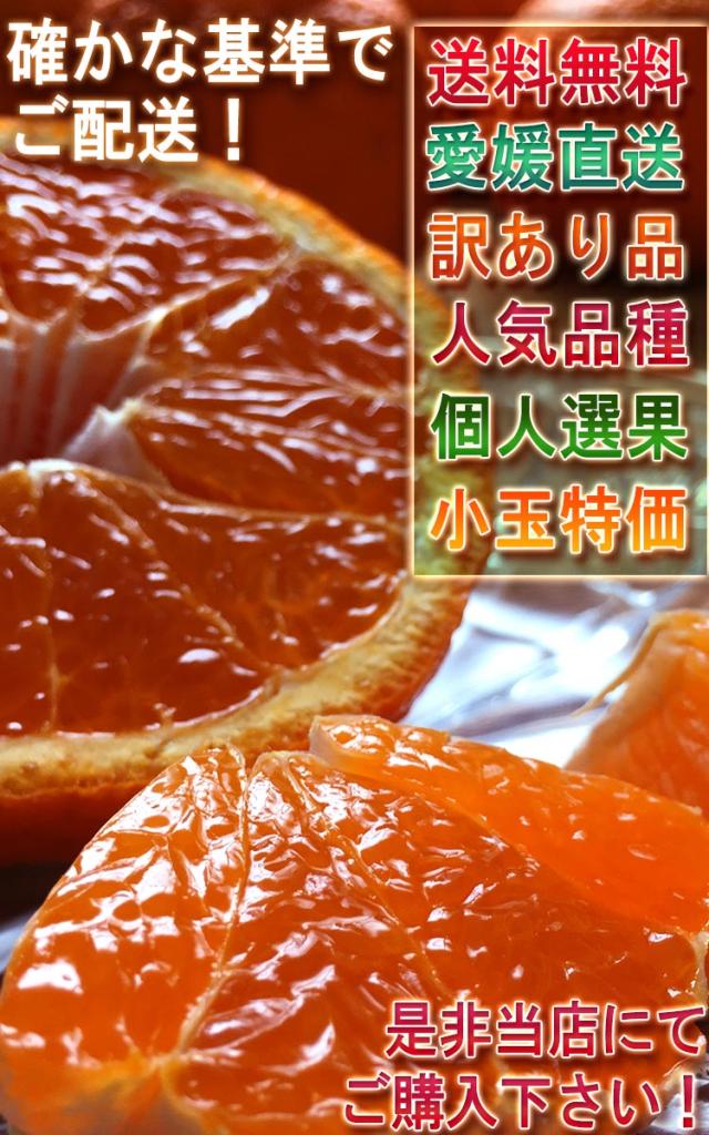 デコ蜜柑 フルーツ